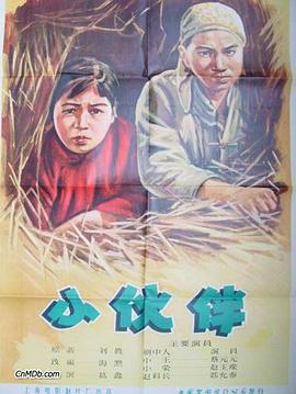 小伙伴 
