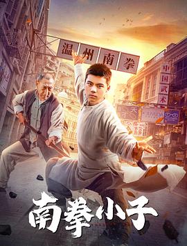 南拳小子 