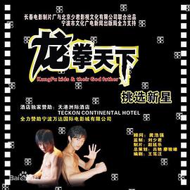 龙拳天下 