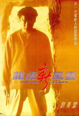 龙虎新风云 