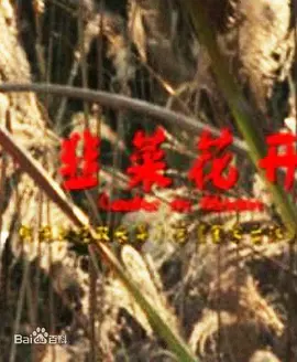 韭菜花開 