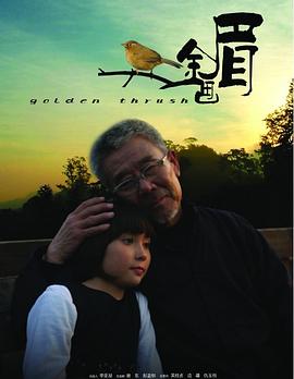 金画眉 