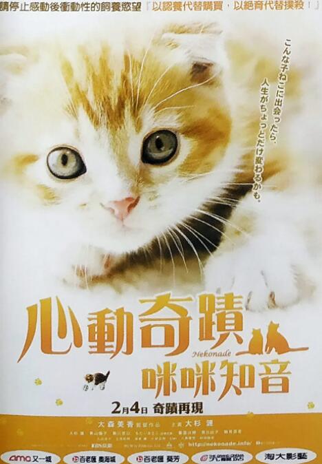 小貓奇緣 