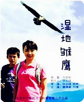 濕地雛鷹 