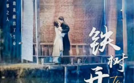 鐵樹開花 