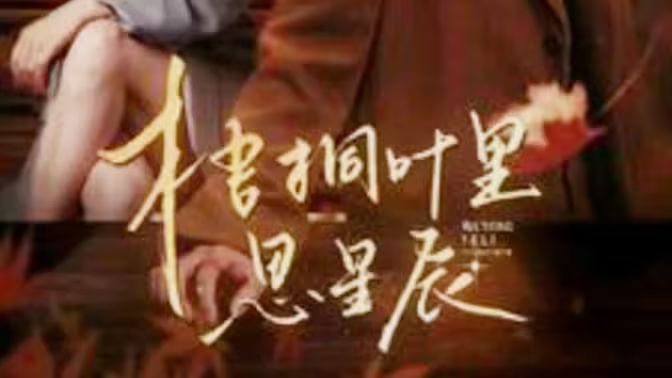 梧桐葉里思星辰 