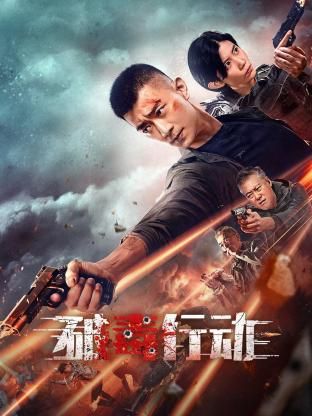 破毒行動(dòng) 