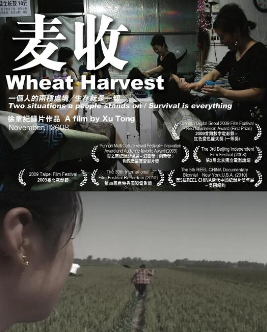 麦收 