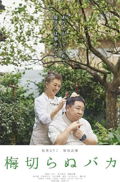 不砍梅樹的傻瓜 