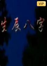 生辰八字 