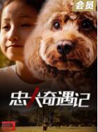 忠犬奇遇记 