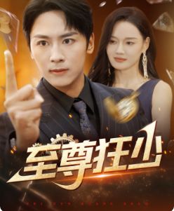 至尊狂少 