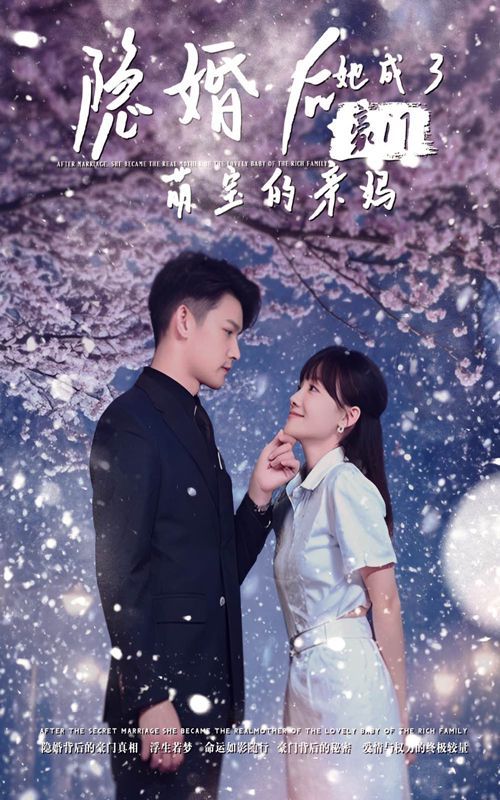 隐婚后,她成了豪门萌宝的亲妈 