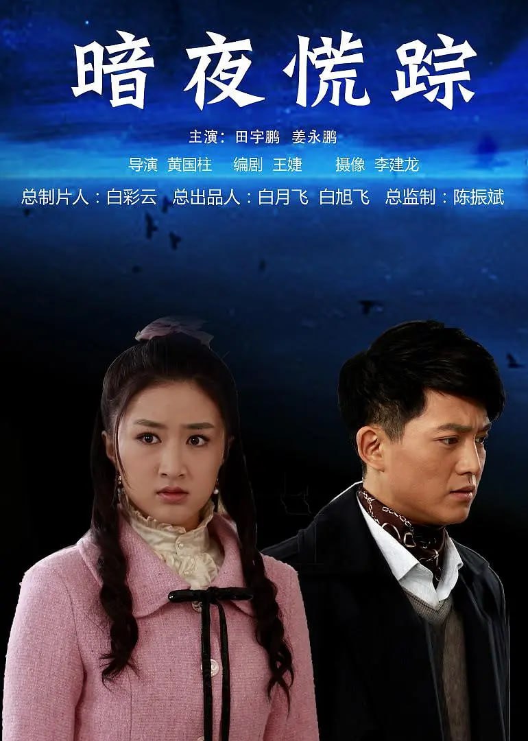 暗夜慌踪,2013 