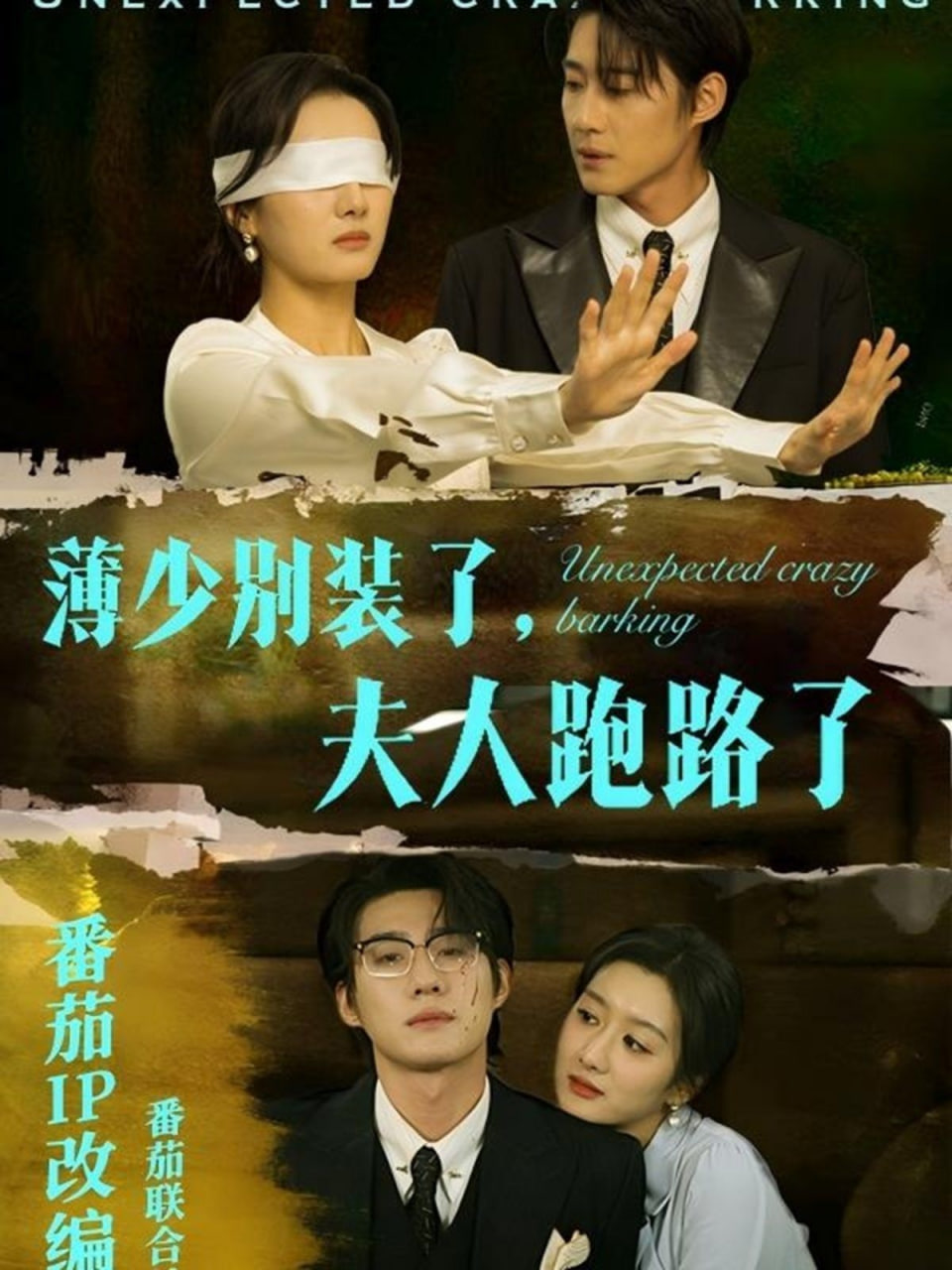 薄少別裝了夫人跑路了 