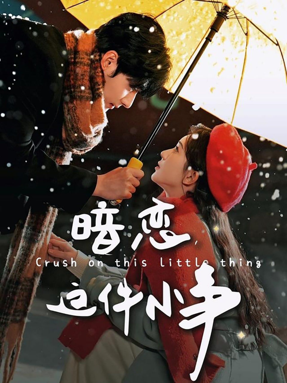 暗戀這件小事 
