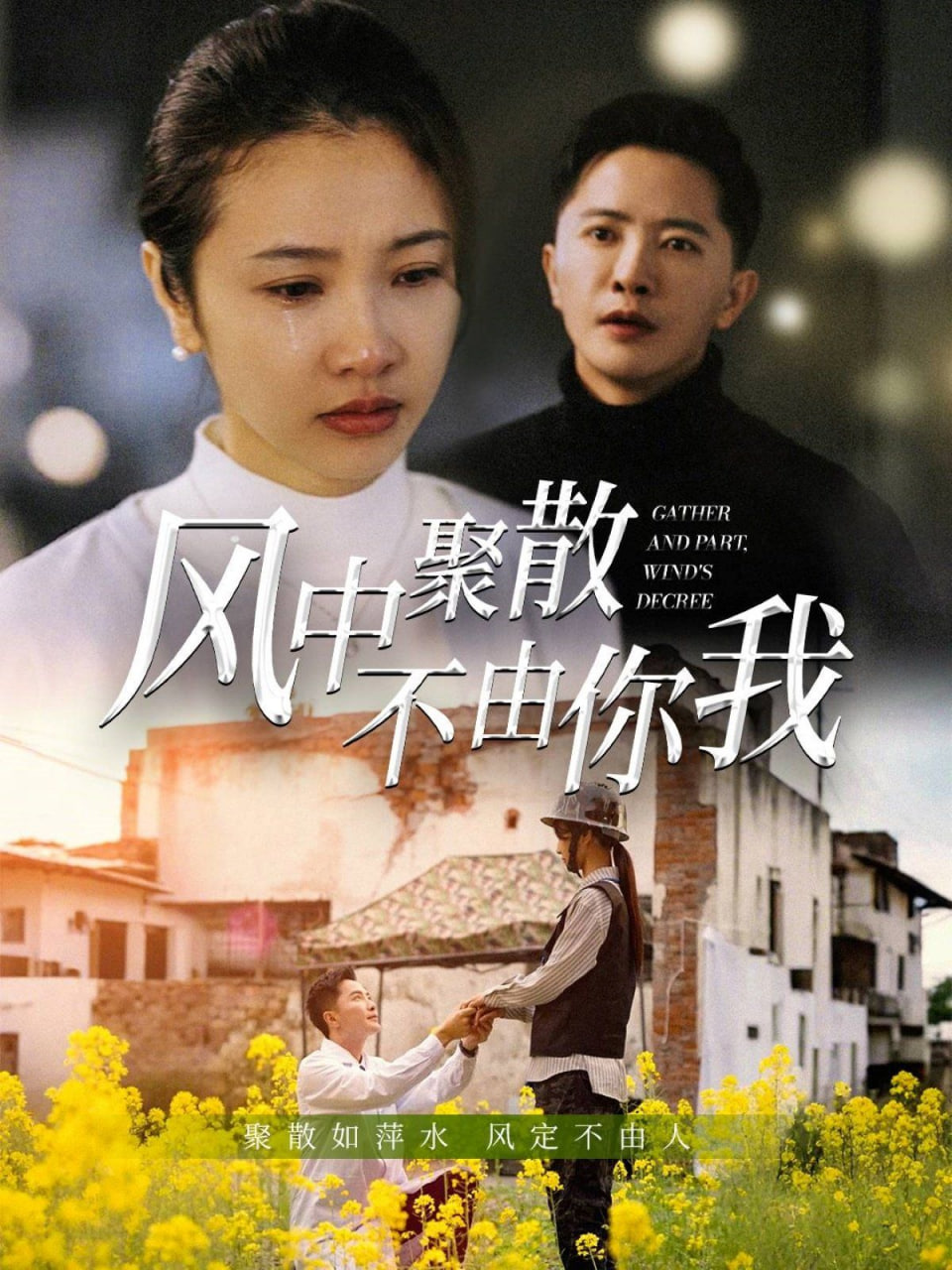 風(fēng)中聚散不由你我 