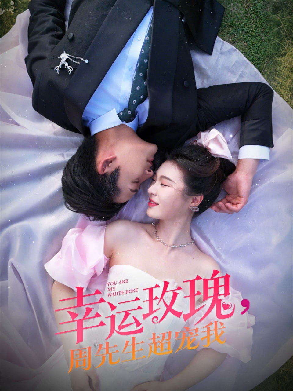 幸運玫瑰,周先生超寵我 