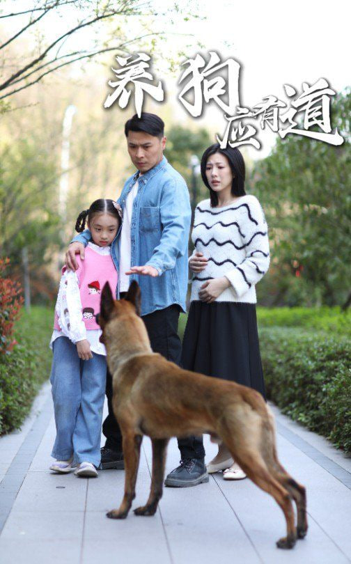 養(yǎng)狗應(yīng)有道 