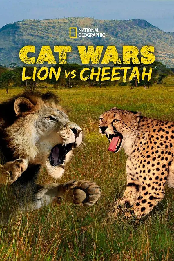 搜索,猫科大战,狮子VS猎豹 