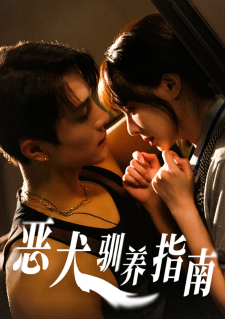 惡犬馴養(yǎng)指南