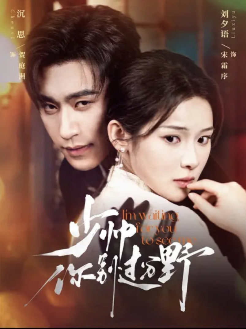 少帥你別過分野