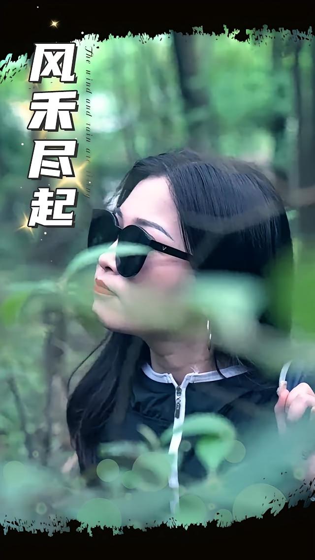 风禾尽起,2025