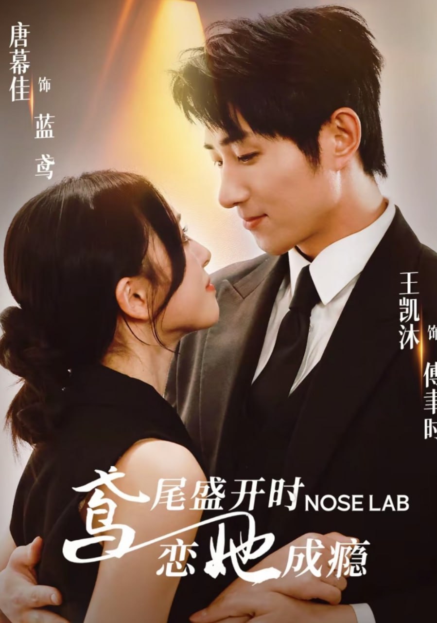 鳶尾盛開(kāi)時(shí)戀她成癮