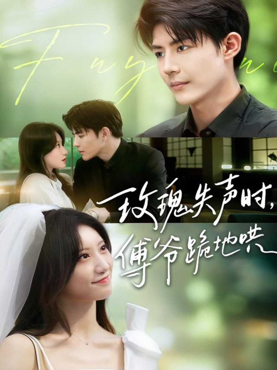 玫瑰失聲時傅爺跪地哄