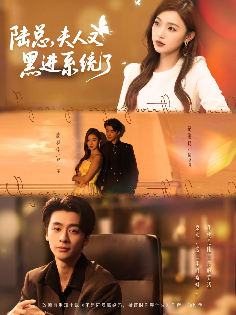 陸總夫人又黑進(jìn)系統(tǒng)了