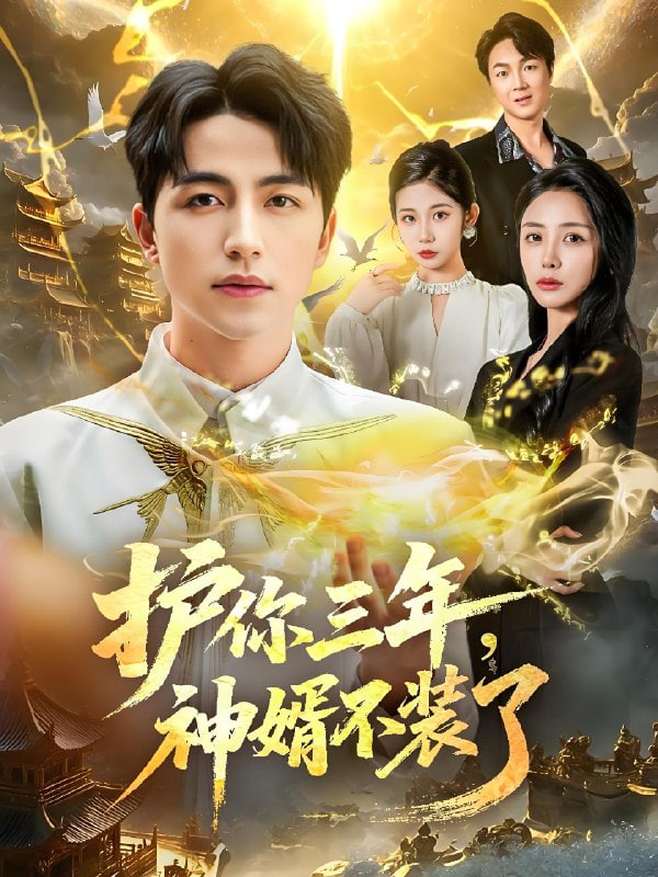 護你三年,神婿不裝了