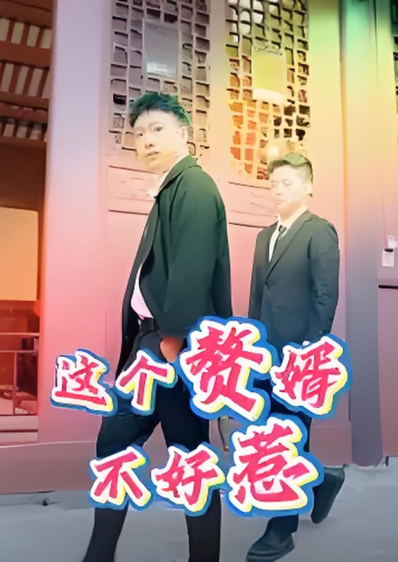 這個贅婿不好惹