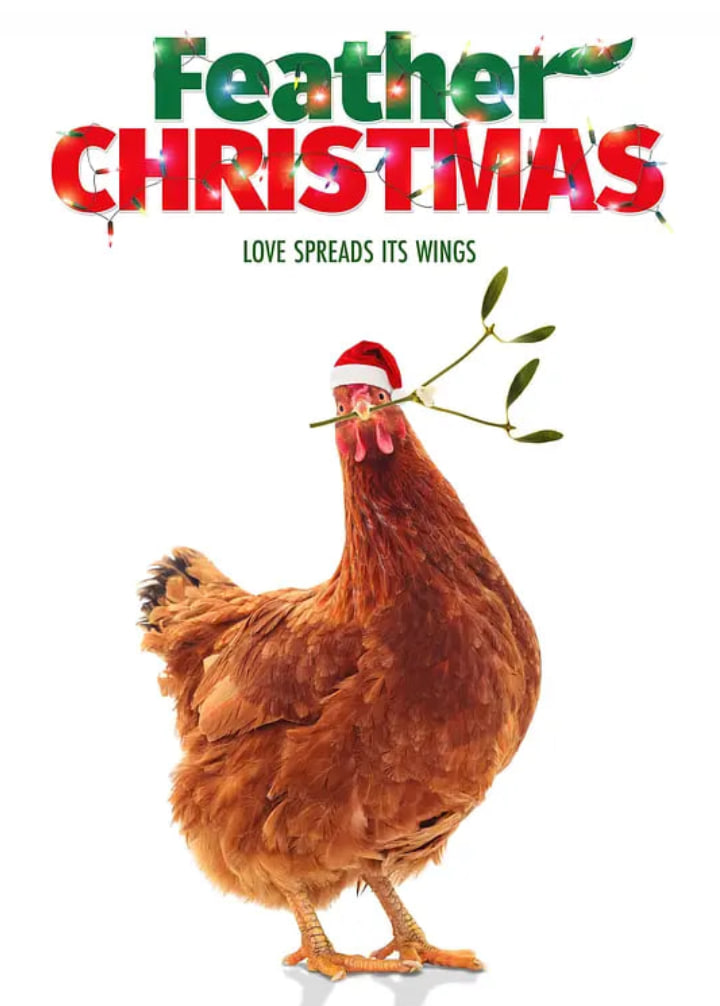 寵物雞與圣誕節(jié)