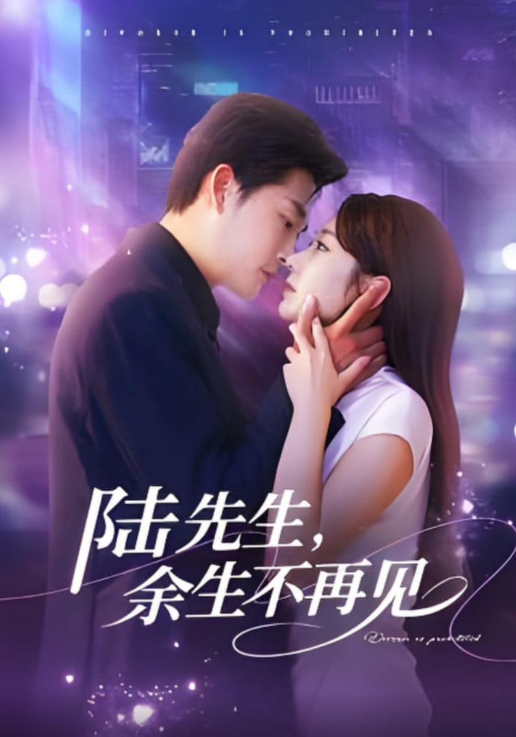 陸先生,余生不再見