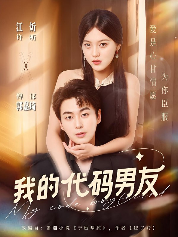 我的代碼男友