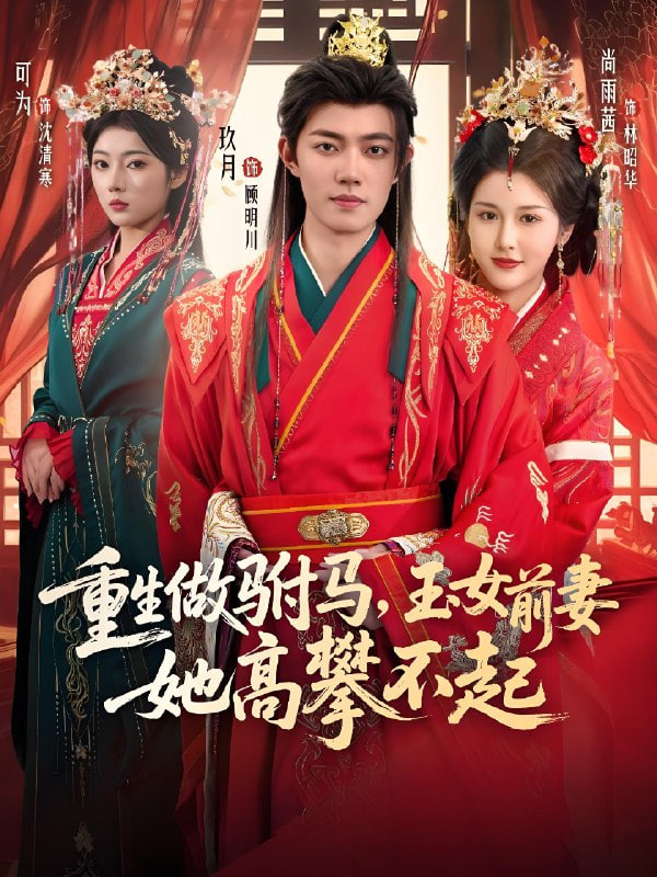 重生做駙馬,玉女前妻她高攀不起