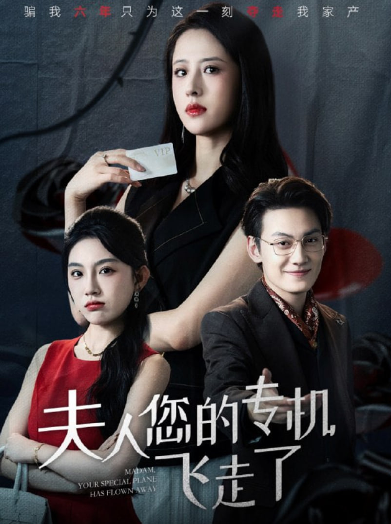 夫人您的專機(jī)飛走了