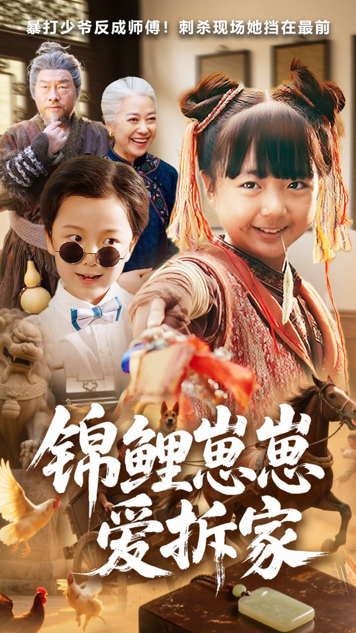 錦鯉崽崽愛拆家