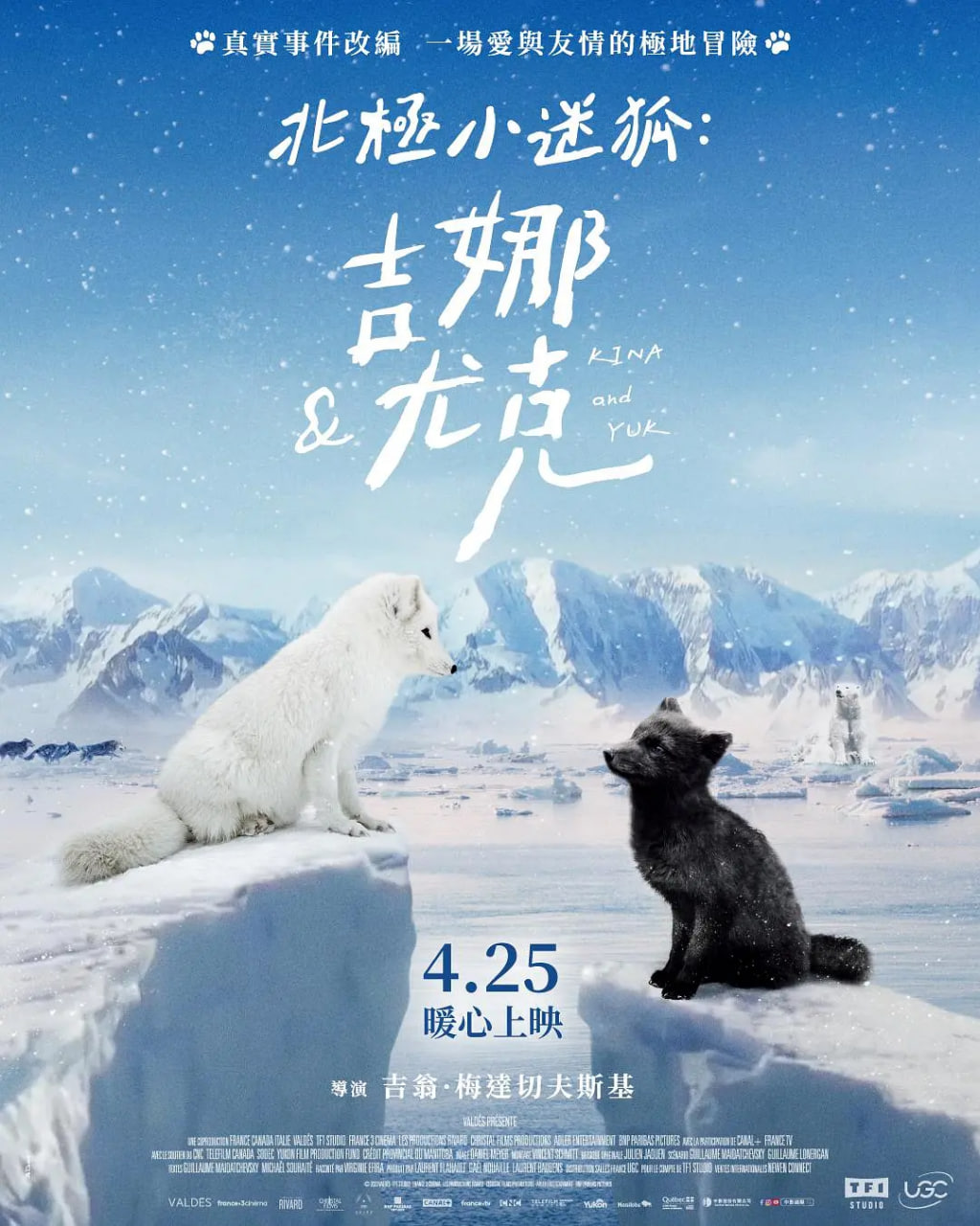 北极小迷狐,吉娜和尤克