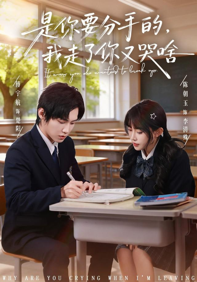 是你要分手的,我走了你又哭啥
