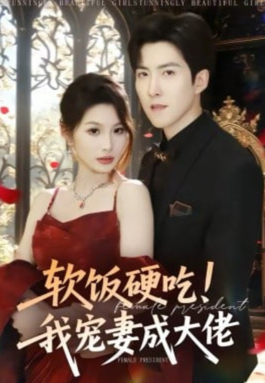 软饭硬吃我宠妻成大佬