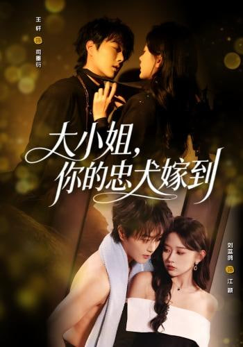 大小姐,你的忠犬嫁到