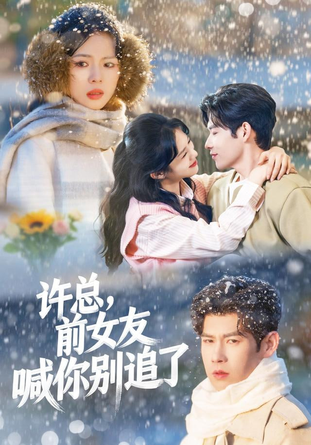 许总,前女友喊你别追了