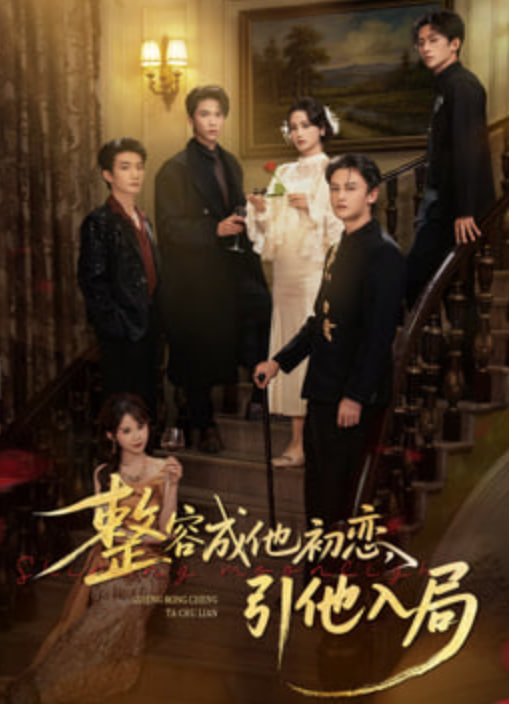 整容成他初恋,引他入局