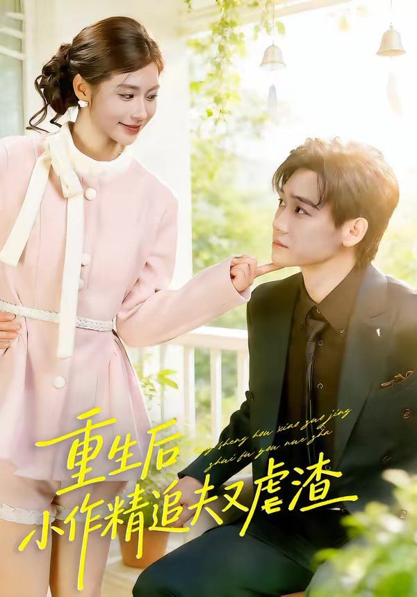 重生后,小撩精追夫又虐渣