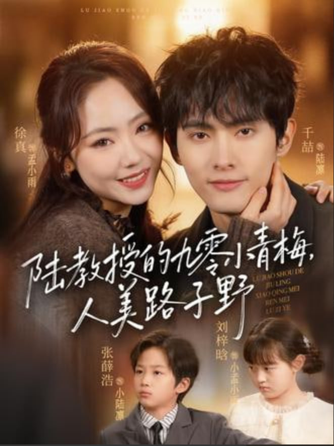 陆教授的九零小青梅,人美路子野