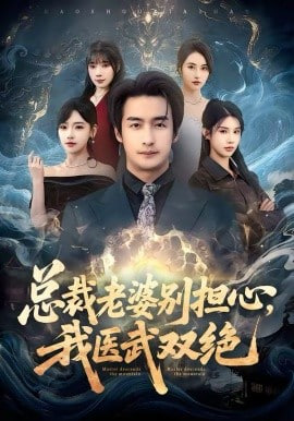 总裁老婆别担心,我医武双绝
