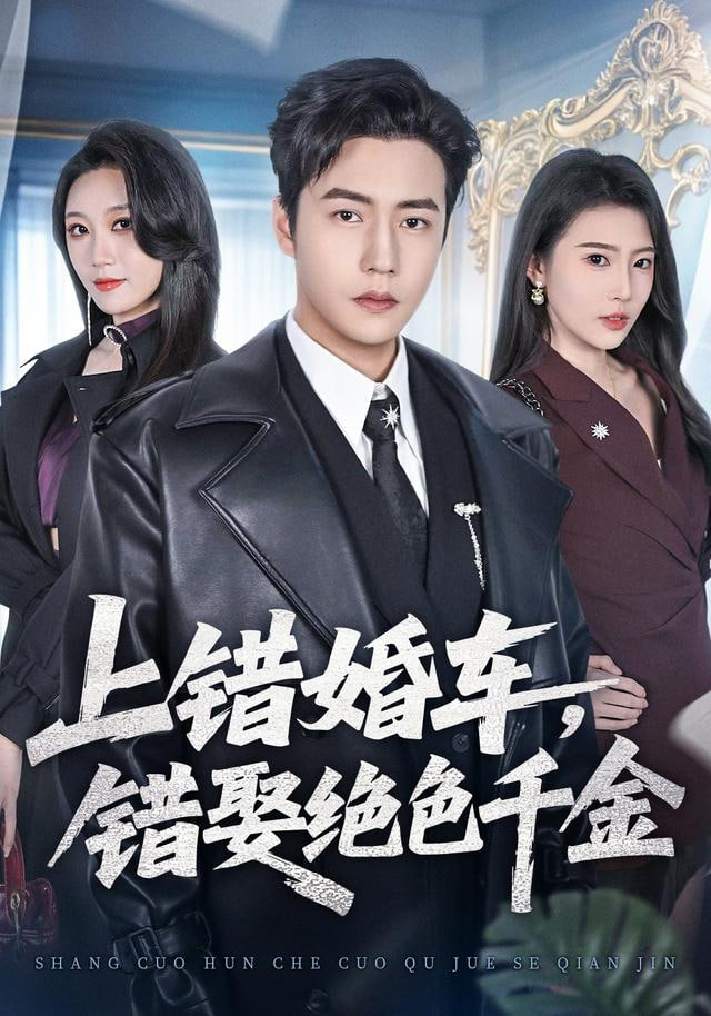 上错婚车,错娶绝色千金