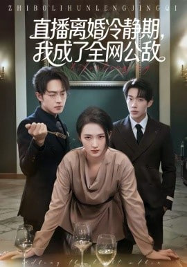 直播离婚冷静期,我成了全网公敌