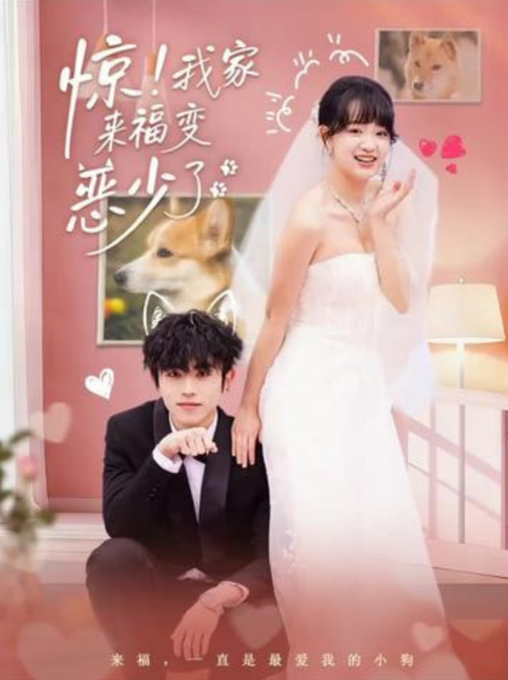 惊我家来福变恶少了,忠犬变恶少